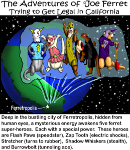 Five Dollar Ferret Friday