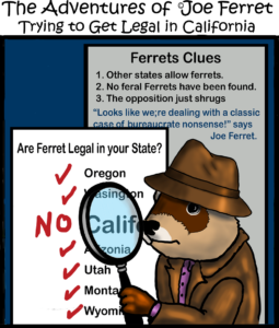 five dollar ferret friday