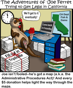 🐾 Joe Ferret vs. the Bureaucratic Maze – Five Dollar Ferret Friday!