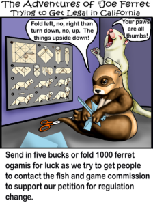 Step-by-step illustrated instructions for folding an origami ferret from a square sheet of paper.