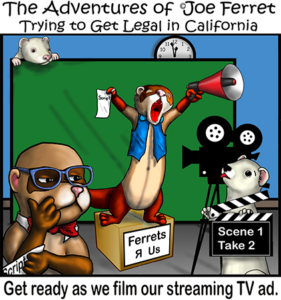 Joe Ferret cartoon character filming a streaming TV ad on a movie set with fellow ferrets, raising awareness for ferret legalization in California. Features clapperboard, megaphone, green screen, and humorous protest imagery.