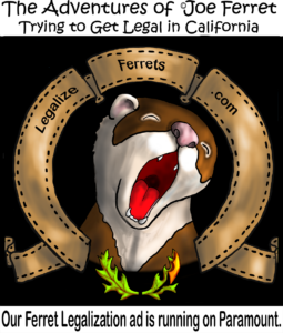 Cartoon image of a yawning or howling ferret framed by curling banners that read “LegalizeFerrets.com.” The title above says “The Adventures of Joe Ferret – Trying to Get Legal in California.” Below the image, a caption announces: “Our Ferret Legalization ad is running on Paramount