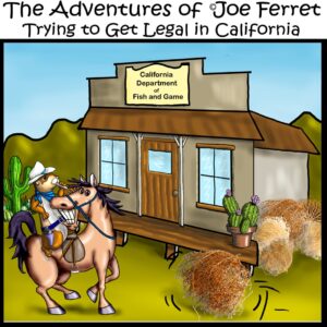 Cartoon of Joe Ferret dressed as a cowboy, riding a grinning horse outside a deserted "California Department of Fish and Game" building, with tumbleweeds blowing by.