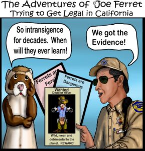 Cartoon of Joe Ferret and a California Fish & Game officer. Joe Ferret looks frustrated next to signs saying “Ferrets are Ferals” and “Ferrets are Dangerous.” The officer proudly holds up a “Wanted” poster showing a cartoon outlaw ferret, saying “We got the evidence!”