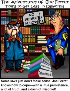 Joe Ferret chewing through red tape while surrounded by outdated law books and a broken “No Ferrets Allowed” sign.