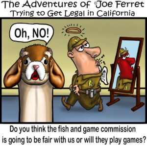 Cartoon of Joe Ferret looking shocked while a Fish and Game official wears angel wings and a halo but sees a devil reflection in the mirror.