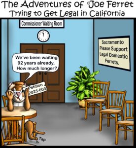 Cartoon of Joe Ferret sitting in a waiting room labeled "Commissioner Waiting Room," holding a sign reading "Petition 2025-003" and saying, "We’ve been waiting 92 years already, how much longer?" A wall sign reads, "Sacramento Please Support Legal Domestic Ferrets."