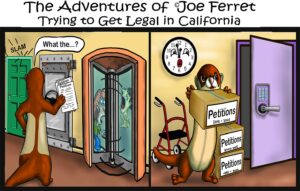 Three-panel comic titled ‘The Adventures of Joe Ferret—Trying to Get Legal in California.’ Joe Ferret meets a slammed steel door and a spinning revolving door, then carries decades of ‘Petitions’ boxes toward an open keypad-locked door.