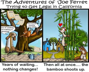 Cartoon of Joe Ferret waiting years for bamboo to grow, then celebrating as the bamboo suddenly shoots up tall, surprising a squirrel