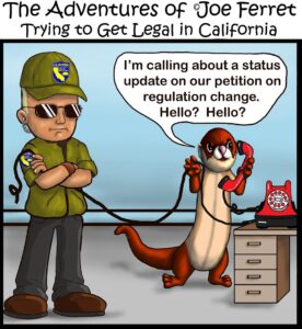 Cartoon of Joe Ferret on the phone asking about a petition update while a California Fish & Game officer ignores him.