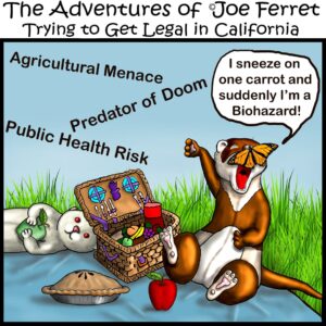 five dollar ferret friday