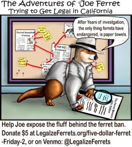 Joe Ferret 2025-43 – Ferret sitting proudly with the caption ‘Five Dollar Ferret Friday