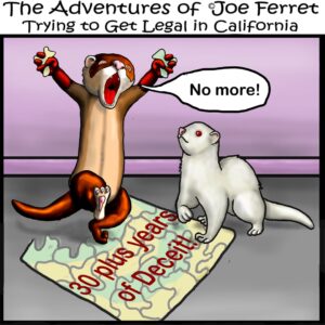 A cartoon of Joe Ferret shouting “No more!” as he and another ferret stand over an incomplete jigsaw puzzle labeled “30 plus years of Deceit!” The puzzle pieces symbolize how the truth about California’s ferret ban is revealed as more pieces come together.