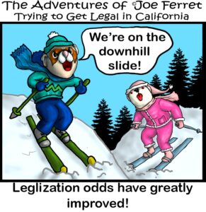 Cartoon of two anthropomorphic ferrets skiing downhill with winter clothes on. One says, “We’re on the downhill slide!”