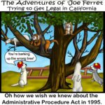 Illustrated cartoon of Joe Ferret and other ferrets gathered around a tree, with one saying “You’re barking up the wrong tree,” referencing a missed legal strategy under the Administrative Procedure Act.