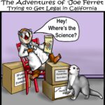Joe Ferret cartoon questioning the science behind California’s ferret ban, surrounded by boxes of evidence and research.