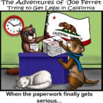 Cartoon of Joe Ferret filing a legal writ in California, with stacks of paperwork labeled “Writ” and “Evidence” as another ferret assists and one sleeps nearby.