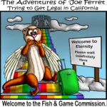 Cartoon of Joe Ferret with angel wings standing on a rainbow staircase to heaven, holding a suitcase, next to a sign that reads “Welcome to Eternity, Please wait indefinitely here,” symbolizing delays by the Fish and Game Commission.