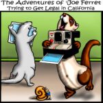 Illustration of Joe Ferret holding a vintage Polaroid camera while another ferret waits for a photograph to develop, symbolizing the long wait for ferret legalization in California.