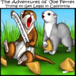 Cartoon from The Adventures of Joe Ferret Trying to Get Legal in California. Joe Ferret sits happily in the grass holding a fortune that reads, “Good things are coming your way,” while another ferret opens a fortune cookie nearby. Several broken fortune cookie pieces are scattered around them.