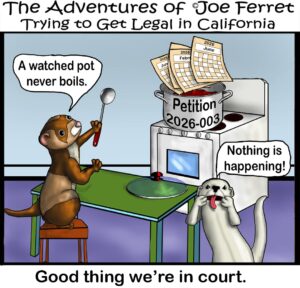 Cartoon titled "The Adventures of Joe Ferret Trying to Get Legal in California." Joe Ferret watches a pot labeled "Petition 2025-003" sitting on a stove while calendar pages from June 2025 through June 2026 stick out of the pot. Joe says, "A watched pot never boils." Another frustrated ferret says, "Nothing is happening!" The caption at the bottom reads, "Good thing we're in court."