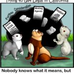 Joe Ferret and his friends watch helplessly as a giant black hole labeled "Further Consideration" swallows the California Fish and Game Commission agenda, the ferret petition, and a June 2026 calendar. The caption reads, "Nobody knows what it means, but everyone is afraid of it