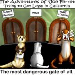 Illustration titled The Adventures of Joe Ferret: Trying to Get Legal in California. Three large doors are labeled Gate 1, Gate 2, and Gate 3. Signs above them read "Submit Petition," "Wait," and "Wait Longer." Joe Ferret sits facing the third gate while another distressed ferret holds paperwork beside it. The bottom caption reads, "The most dangerous gate of all."