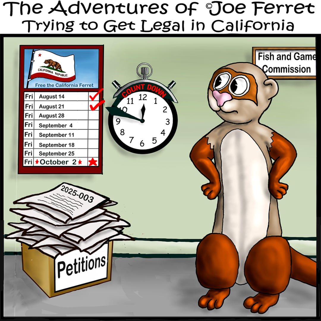 Joe Ferret waits outside the California Fish and Game Commission beside Petition 2025-003 and a countdown calendar marking the weeks until the October 2 court hearing.