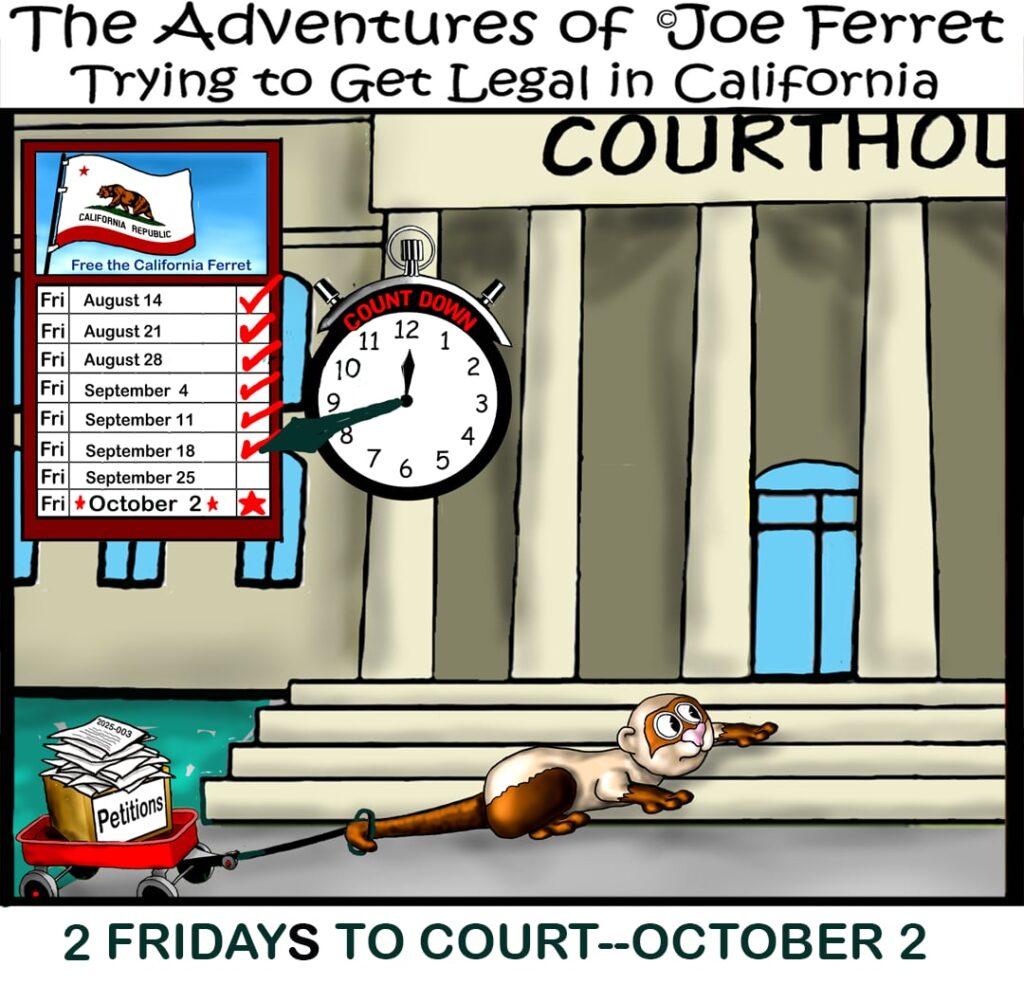Joe Ferret drags Petition 2025-003 toward the courthouse as the countdown reaches two Fridays before the October 2 court hearing.