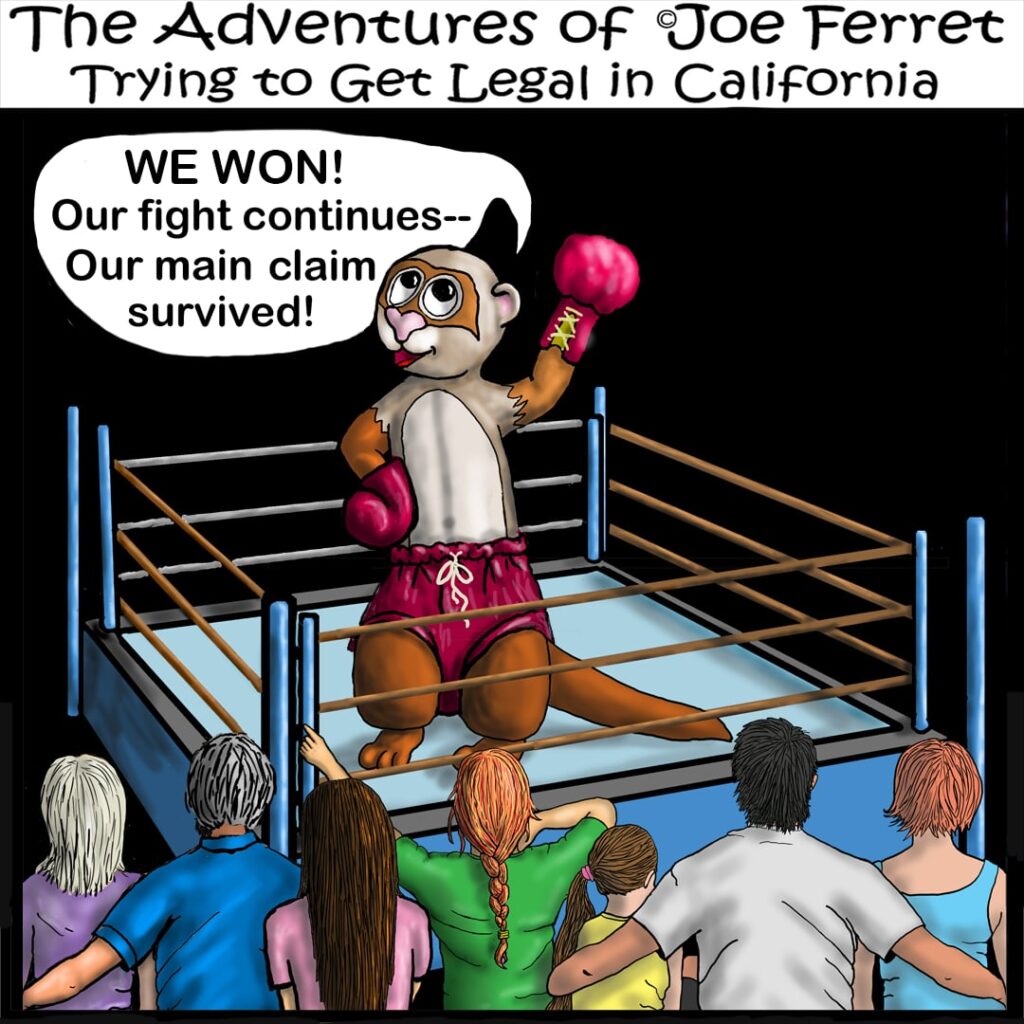 Cartoon of Joe Ferret wearing red boxing gloves and shorts, standing triumphantly in a boxing ring before a cheering crowd. A speech bubble reads, “WE WON! Our fight continues—Our main claim survived!