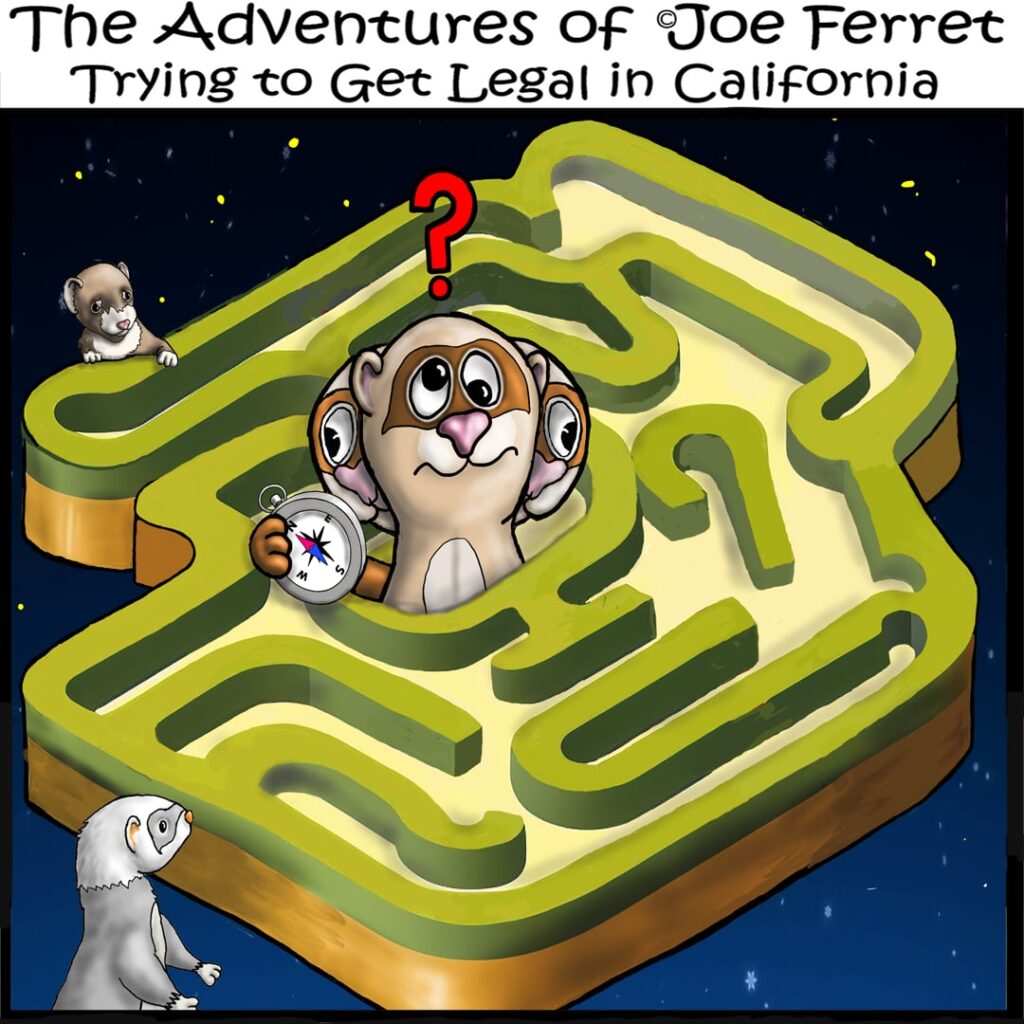 Cartoon of Joe Ferret lost in a California-shaped maze, holding a compass, with a question mark over his head.